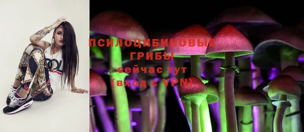mdpv Белокуриха