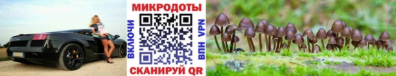 kraken онион Пестово Псилоцибиновые грибы Magic Shrooms